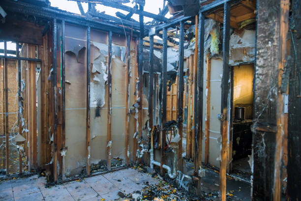 Professional Soot Cleanup technician working in Stony Point, MI